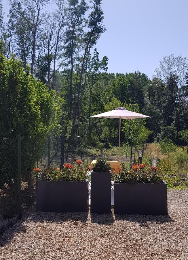 Agréable petite maison avec jardin et parking Chamvres Exterior foto